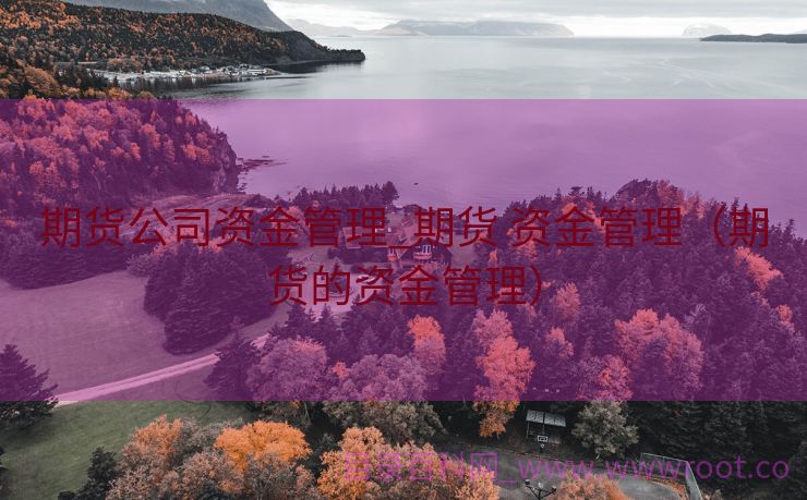 期货公司资金管理_期货 资金管理（期货的资金管理）