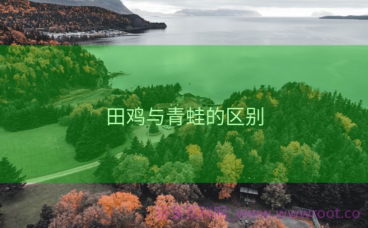 田鸡与青蛙的区别