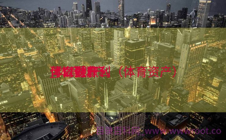 体育财产
什么最赢利
_体育财产
可以做什么（体育资产）