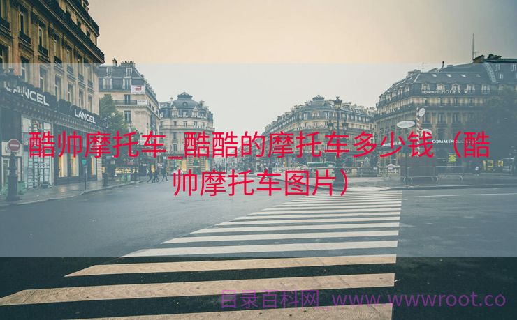 酷帅摩托车_酷酷的摩托车多少钱（酷帅摩托车图片）
