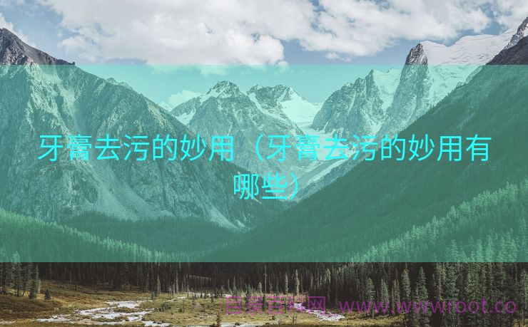 牙膏去污的妙用（牙膏去污的妙用有哪些）
