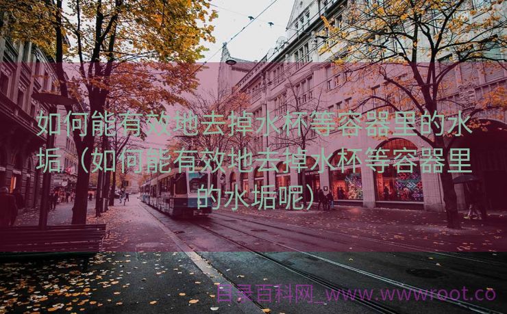 如何能有效地去掉水杯等容器里的水垢（如何能有效地去掉水杯等容器里的水垢呢）