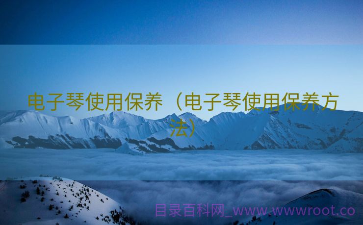 电子琴使用保养（电子琴使用保养方法）