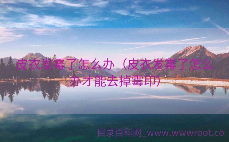皮衣发霉了怎么办（皮衣发霉了怎么办才能去掉霉印）