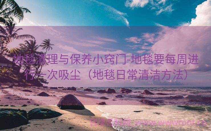 地毯清理与保养小窍门-地毯要每周进行一次吸尘（地毯日常清洁方法）