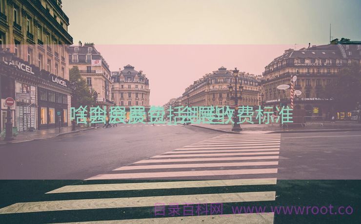 啥叫会展费_会展收费标准

（会展费包括哪些）