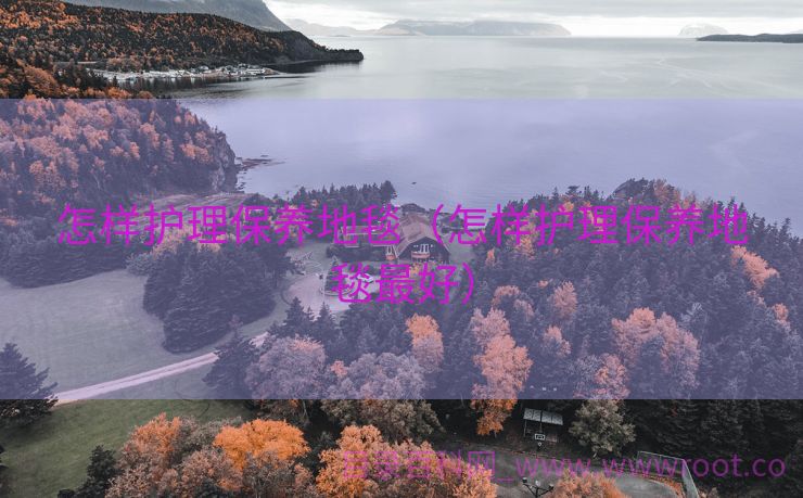 怎样护理保养地毯（怎样护理保养地毯最好）