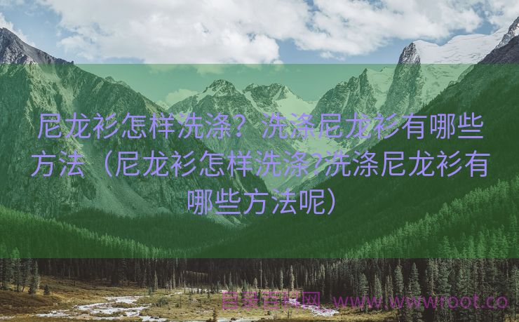 尼龙衫怎样洗涤？洗涤尼龙衫有哪些方法（尼龙衫怎样洗涤?洗涤尼龙衫有哪些方法呢）