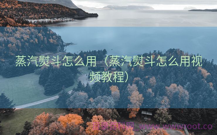 蒸汽熨斗怎么用（蒸汽熨斗怎么用视频教程）