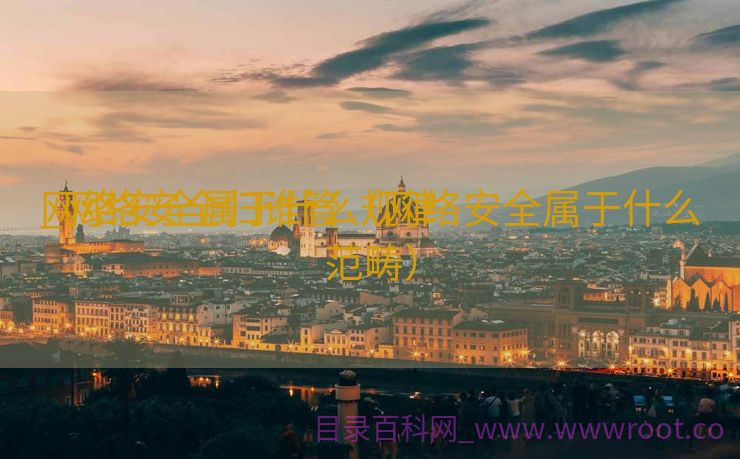 网络安全属于什么规律
_网络安全归谁管（网络安全属于什么范畴）