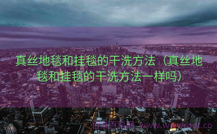 真丝地毯和挂毯的干洗方法（真丝地毯和挂毯的干洗方法一样吗）