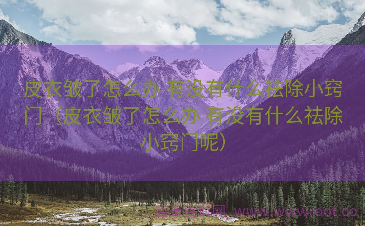 皮衣皱了怎么办 有没有什么祛除小窍门（皮衣皱了怎么办 有没有什么祛除小窍门呢）