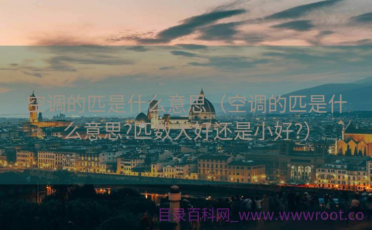 空调的匹是什么意思（空调的匹是什么意思?匹数大好还是小好?）