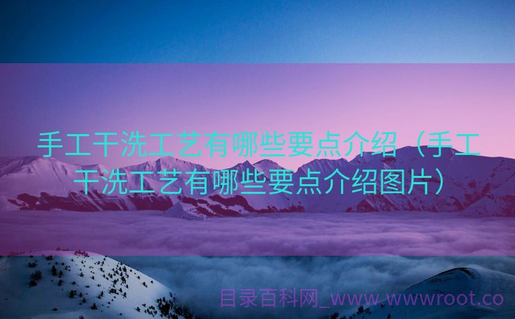 手工干洗工艺有哪些要点介绍（手工干洗工艺有哪些要点介绍图片）