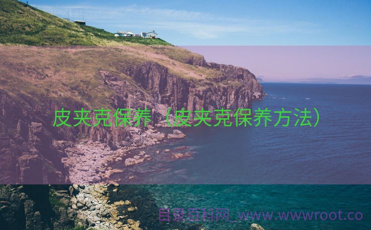 皮夹克保养（皮夹克保养方法）