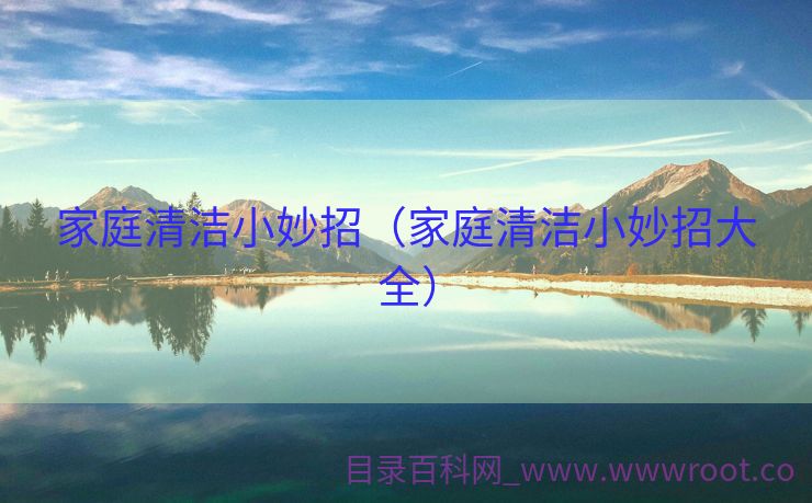 家庭清洁小妙招（家庭清洁小妙招大全）