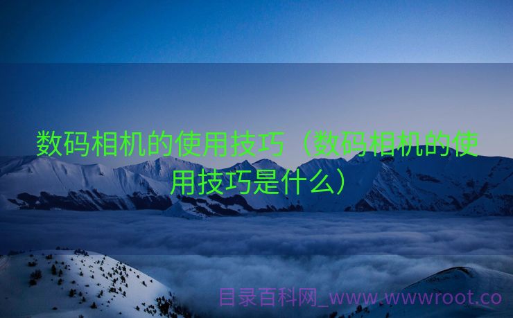 数码相机的使用技巧（数码相机的使用技巧是什么）