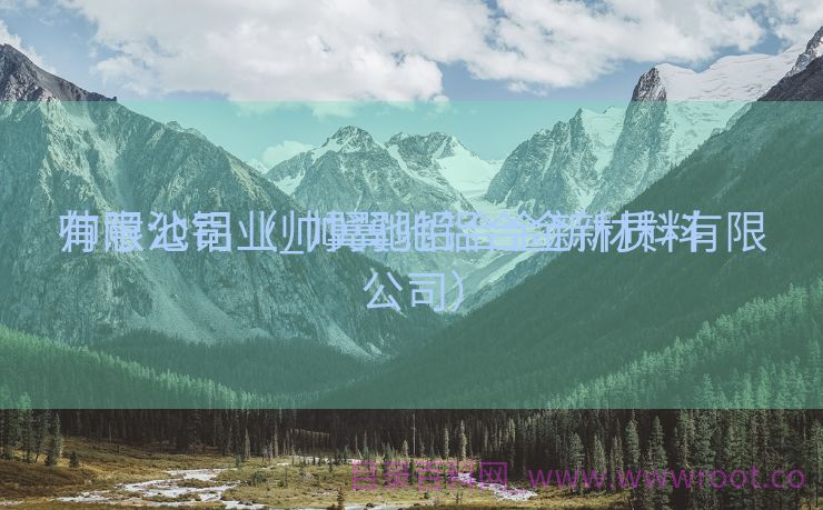 帅意池铝业_帅翼驰铝合金新质料
有限公司（帅翼驰铝合金新材料有限公司）