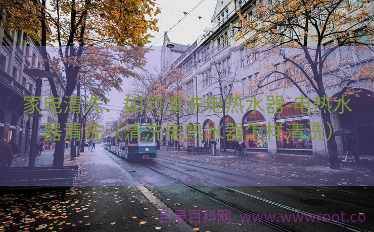 家电清洗：如何清洗电热水器-电热水器清洗（清洗电热水器怎样清洗）