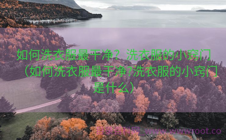 如何洗衣服最干净？洗衣服的小窍门（如何洗衣服最干净?洗衣服的小窍门是什么）