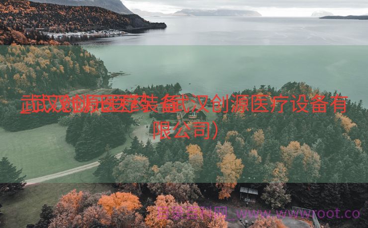 武汉创源医疗装备
_武汉创元医药（武汉创源医疗设备有限公司）