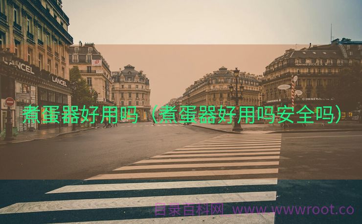 煮蛋器好用吗（煮蛋器好用吗安全吗）