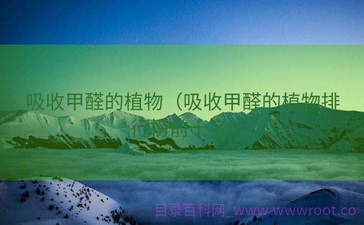吸收甲醛的植物（吸收甲醛的植物排行榜前十名）