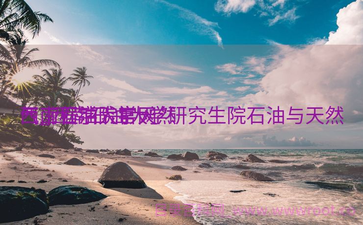 西南石油大学天然

气_西南石油大学研究生院石油与天然

气工程学院官网