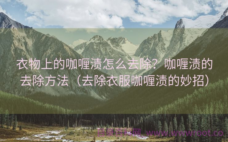 衣物上的咖喱渍怎么去除？咖喱渍的去除方法（去除衣服咖喱渍的妙招）