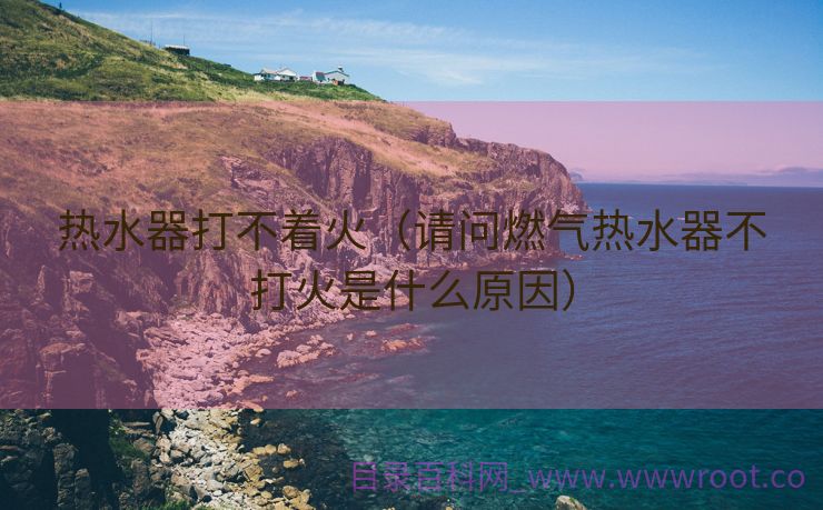 热水器打不着火（请问燃气热水器不打火是什么原因）