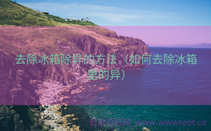 去除冰箱除异的方法（如何去除冰箱里的异）