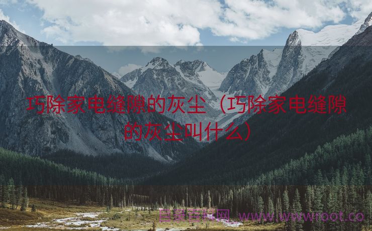 巧除家电缝隙的灰尘（巧除家电缝隙的灰尘叫什么）