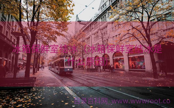 冰箱保鲜室结冰（冰箱保鲜室结冰是什么原因）