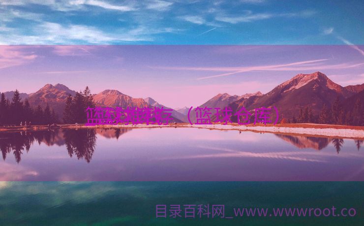 篮球堆栈
_篮球库存（篮球仓库）