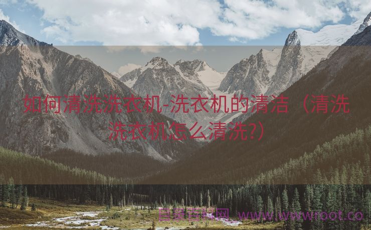 如何清洗洗衣机-洗衣机的清洁（清洗洗衣机怎么清洗?）