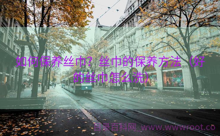 如何保养丝巾？丝巾的保养方法（好的丝巾怎么洗）