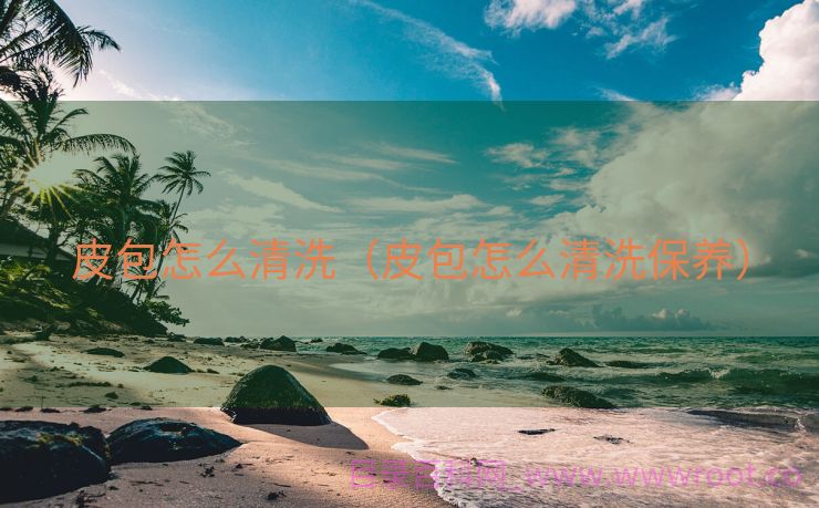 皮包怎么清洗（皮包怎么清洗保养）