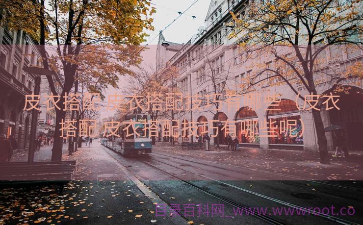 皮衣搭配 皮衣搭配技巧有哪些（皮衣搭配 皮衣搭配技巧有哪些呢）
