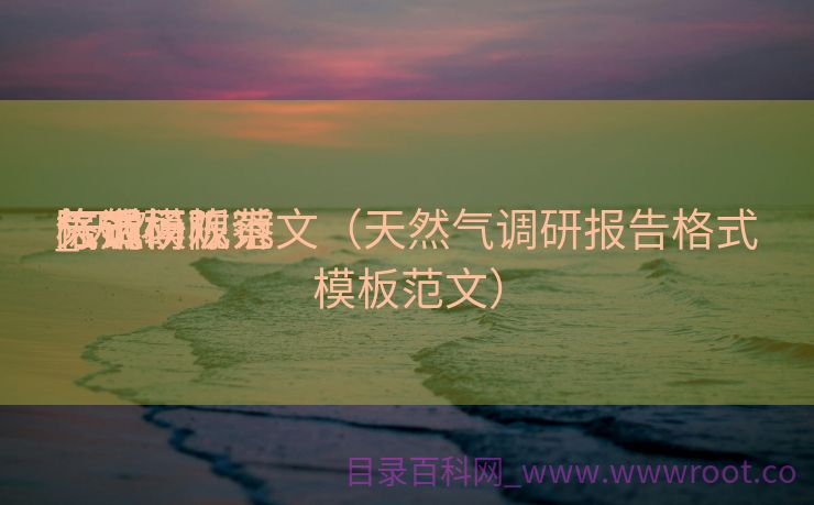 天然

气市场观察
陈诉
_天然

气调研陈诉
格式模板范文（天然气调研报告格式模板范文）