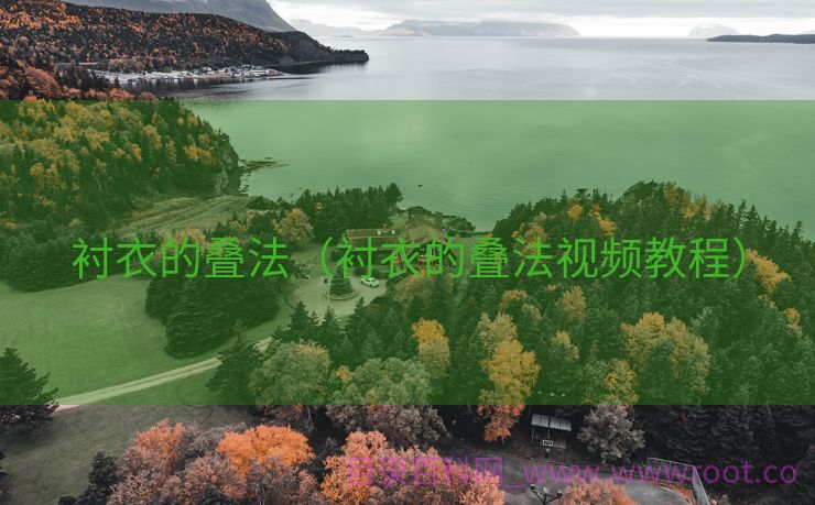 衬衣的叠法（衬衣的叠法视频教程）