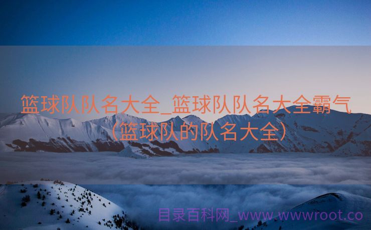 篮球队队名大全_篮球队队名大全霸气（篮球队的队名大全）