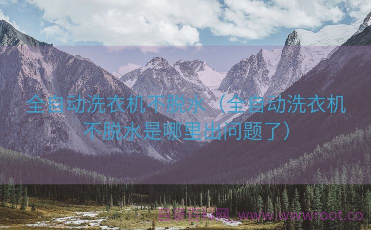 全自动洗衣机不脱水（全自动洗衣机不脱水是哪里出问题了）