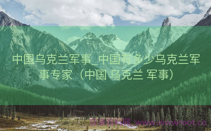 中国乌克兰军事_中国有多少乌克兰军事专家（中国 乌克兰 军事）