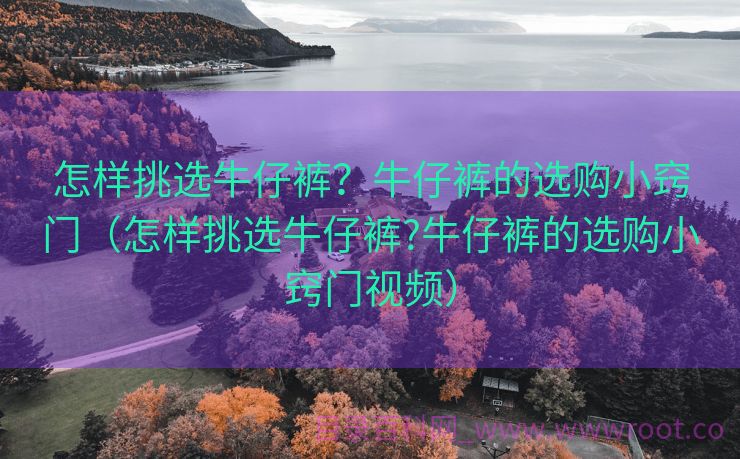 怎样挑选牛仔裤？牛仔裤的选购小窍门（怎样挑选牛仔裤?牛仔裤的选购小窍门视频）