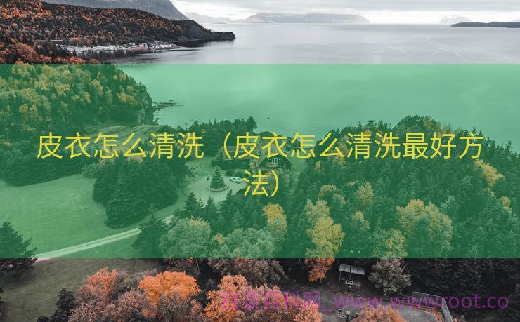 皮衣怎么清洗（皮衣怎么清洗最好方法）