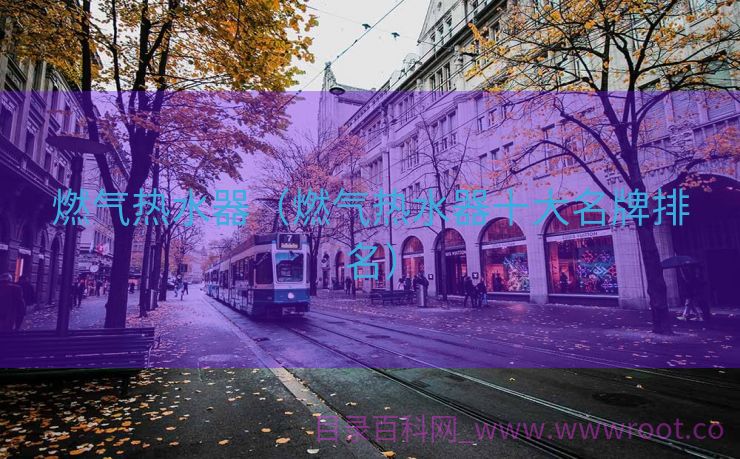 燃气热水器（燃气热水器十大名牌排名）