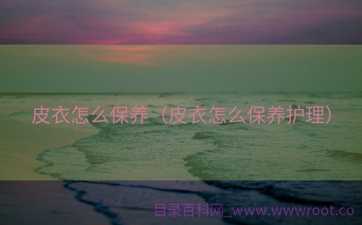 皮衣怎么保养（皮衣怎么保养护理）